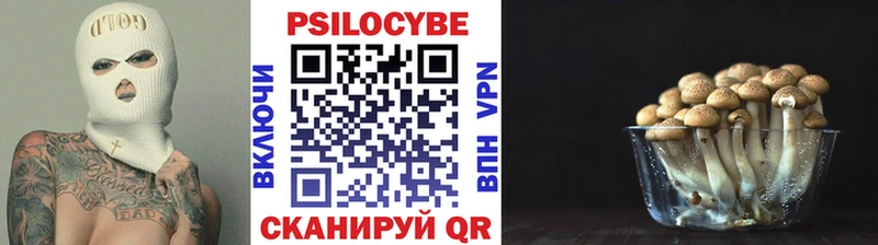OMG как войти  Хотьково  Псилоцибиновые грибы ЛСД 